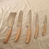 سرویس چاقو کارد ساطور