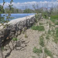 60-متر-1-خواب-طبقه-2