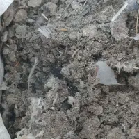 زیل کبوتر