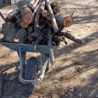 خرید فروش چوب|خدمات باغبانی و درختکاری|مراغه, |دیوار