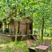 دردل جزیره ای آرام، ویلایی متفاوت ساخته شده