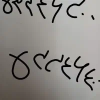 ۲ عدد خط رند ثابت (فسا)