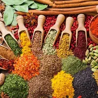 مشاوره رایگان طب سنتی اسلامی
