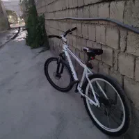 دوچرخه المانی
