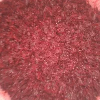 استخدام وبازاریابی