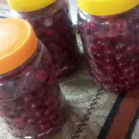 البالوتازه پاک شده