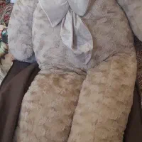 خرس  بزرگ