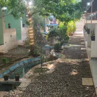 نیرو درصدی در کافه رستوران