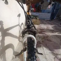 دوچرخه ویوا ۲۶