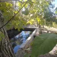 باغ انتهای دینور مثمر با آب چشمه