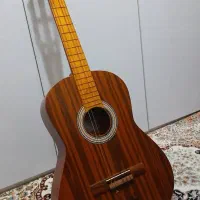 گیتار آکوستیک فندر