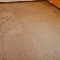 موکت پالاز