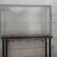 آکواریوم