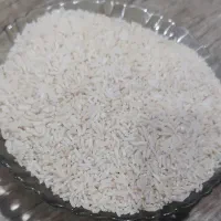برنج الموت