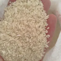 برنج نیمدانه و لاشه طارم