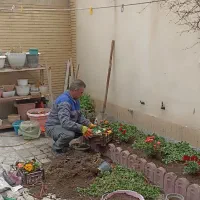 خدمات باغبانی سمپاشی هرس وگل کاری سم پاشی شمشادزنی