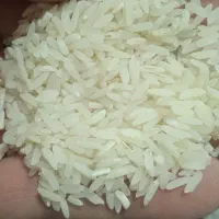 هاشمی پر محصول