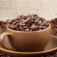 فروش محدود قهوه چکی