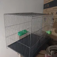 قفس اهنی پرنده برای مرغ عشق وعروس هلندی