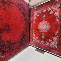 ۱۲متری حرمس پلاس دانه ۲۶۵۰۰ ابراهیم پور