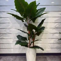 عمده و تک درختچه درخت گیاه مصنوعی استار