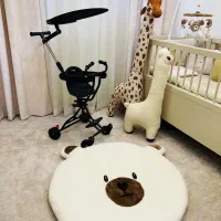 رانو تاشو وارداتی کم جا