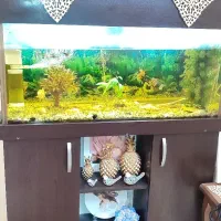 آکواریوم کامل