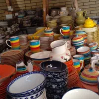 فروش گلهای آپارتمانی