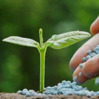 استخدام کارشناس فروش تلفنی نمایندگی فروش کود شیراز