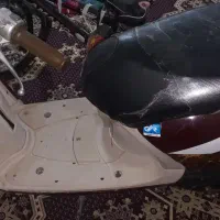 پاکشتی وینو