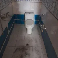 تو الت فرنگی