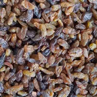 کشمش آفتابی