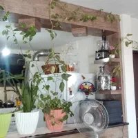 گل طبیعی|گل و گیاه طبیعی|گلبهار, شهر جدید گلبهار|دیوار
