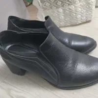 کفش زنانه شیماسایز۳۷