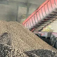 تفاله خشک فشنگی چغندر