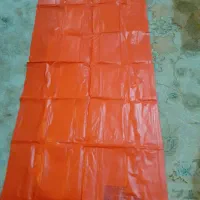 تشک نارنجی استخری.
