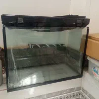 اکواریوم