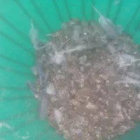 زل کبوتر و بلدرچین