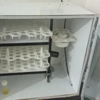 126تایی