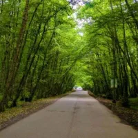 تور یک روزه شمال ساحل گیسوم آبشار ویسادار