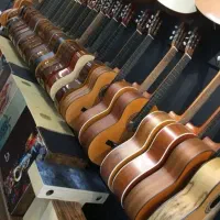 گیتار حرفه ای&مازیار/
