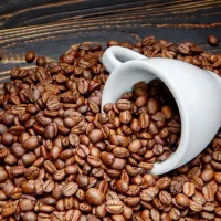 فروش،دان،قهوه ربوستا،عربیک+آ