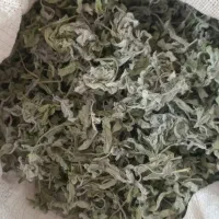 پونه خشک عالی ازطبیعت آذربایجان عمده ۳۰۰خرده ۳۵۰