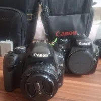 کنون 500 دی و 1100 دی