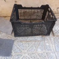 سبد انگور و گوجه