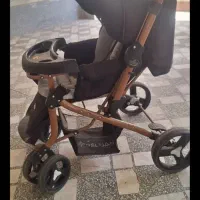 کالسکه مارک دلیجان سایبان ندارد