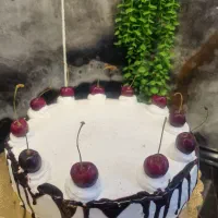 پخت کیک و دسر