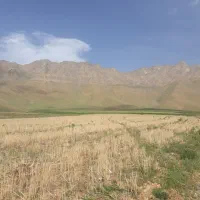 زمین کشاورزی  و باغی