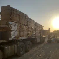 خریدار کارتن بالاترین قیمت