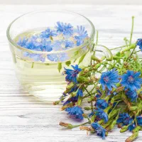 عرق کاسنی و گزنه
